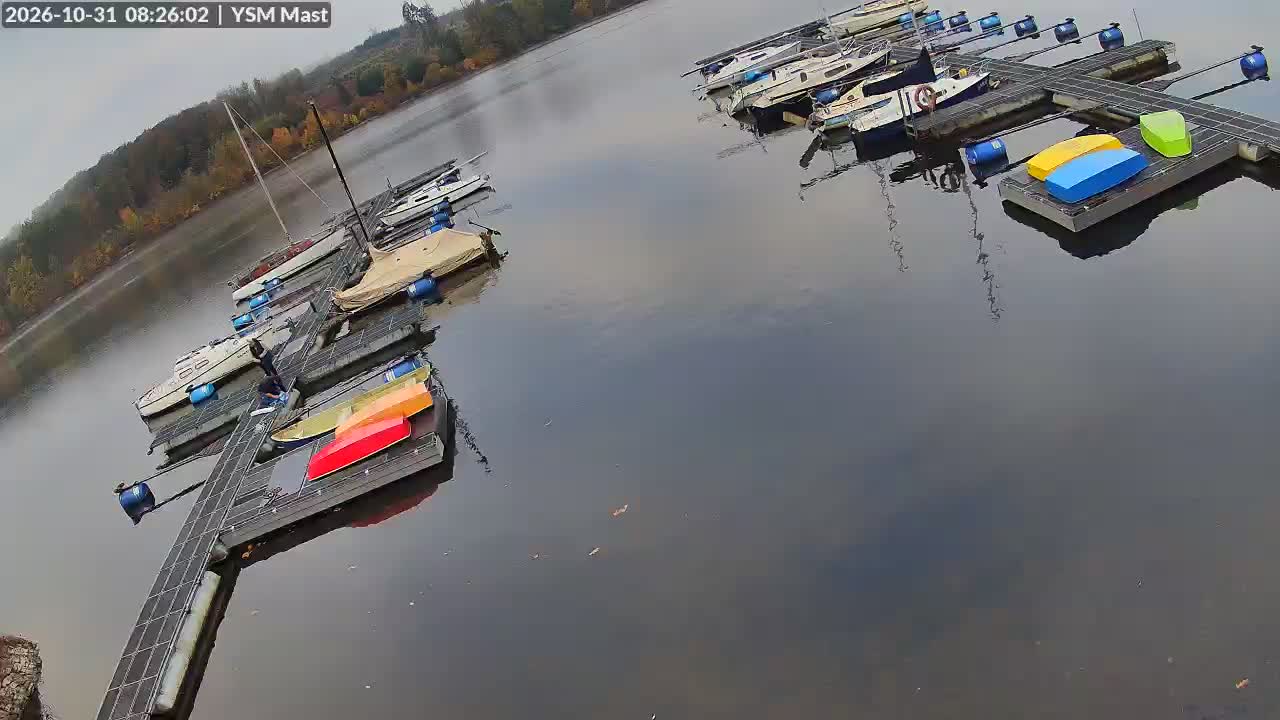 webcam frame